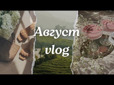 Видео: Август vlog🤍 (последний месяц лета)