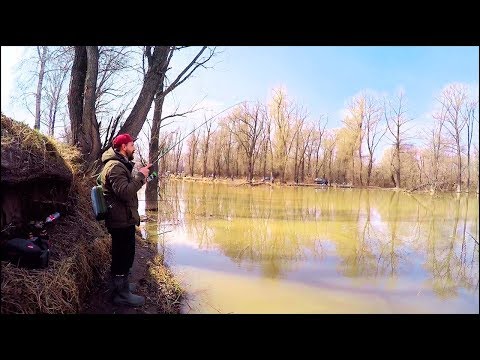 Видео: Ловля СУДАКА весной в МУТНОЙ воде. Рыбалка весной на Малой реке [Sibiryak007]