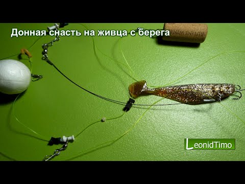 Видео: Донная снасть на живца с берега, ловля хищника. Leonid Timo