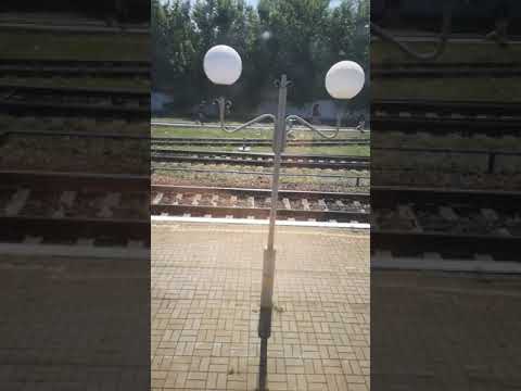 Видео: Станция Верховцево лето 2020