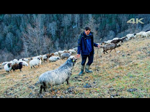 Видео: Привет зиме | Документальный