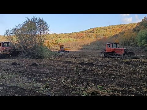 Видео: Жёсткая заруба ДТ 75 и леса🫣.