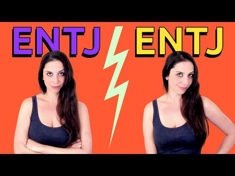 Видео: ENTJ на самом деле — это два разных типа