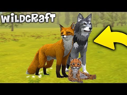 Видео: Создал Семью в СИМУЛЯТОР ЖИВОТНЫХ - WildCraft: Симулятор Жизни Зверей Онлайн