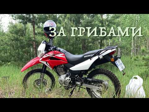 Видео: Обкатка нового мотоцикла Honda xr 150l .Или вперёд за майскими грибами!😉