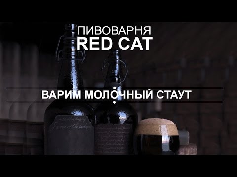 Видео: Молочный стаут