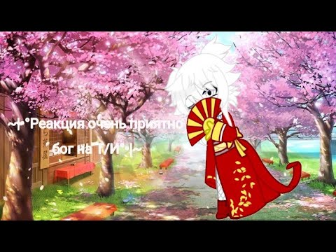 Видео: ~|•° Реакция очень приятно бог на Т/И °•|~