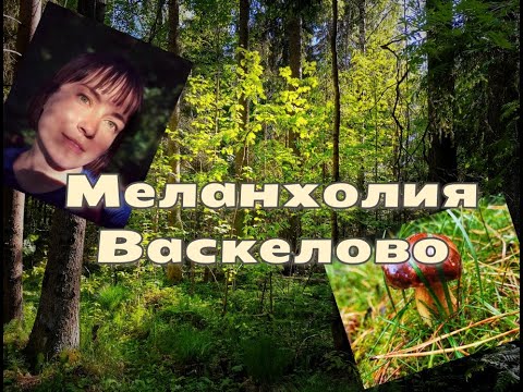 Видео: Меланхолия Васкелово