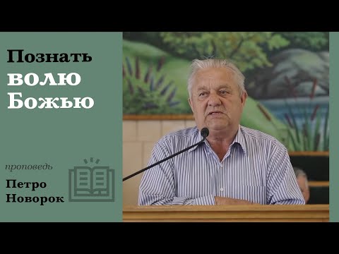 Видео: Познать волю Божью | проповедь | Петр Новорок