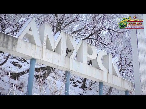 Видео: Мой город Амурск, Хабаровский край, ледоход на реке Амур 27 апреля 2022 год !