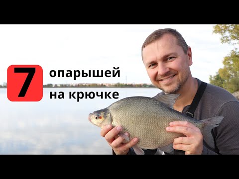 Видео: В ПОИСКАХ БЕЛОГО ЛЕЩА. РЫБАЛКА НА ВОДОХРАНИЛИЩЕ НА КРУПНУЮ БЕЛУЮ РЫБУ.