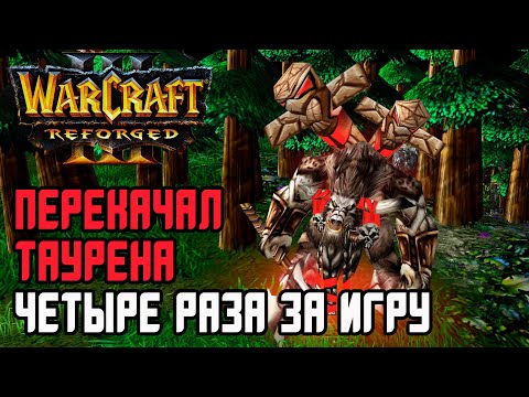 Видео: Перекачал Таурена 4 раза за игру!: Fortitude 120 vs XiaoKk Life Warcraft 3 Reforged