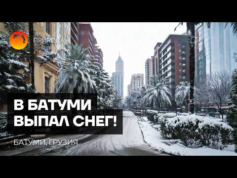 Видео: БАТУМИ В ШОКЕ! СНЕГ В ДЕКАБРЕ! ГРУЗИЯ ДЕКАБРЬ 2024