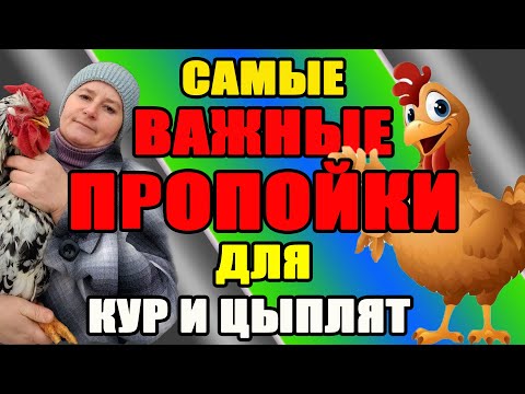 Видео: Самые ВАЖНЫЕ ПРОПОЙКИ для кур. Как подготовить кур к инкубационному периоду.