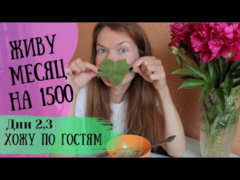 Видео: ЖИВУ НА 1500 Рублей МЕСЯЦ☘День 2, 3. Хожу по гостям