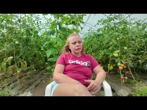 Видео: 🌿 Епизод 1: Зелено земеделие – Фермата край Покрайна