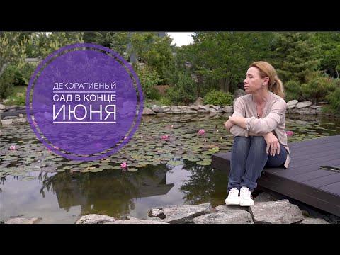 Видео: ДЕКОРАТИВНЫЙ САД В КОНЦЕ ИЮНЯ