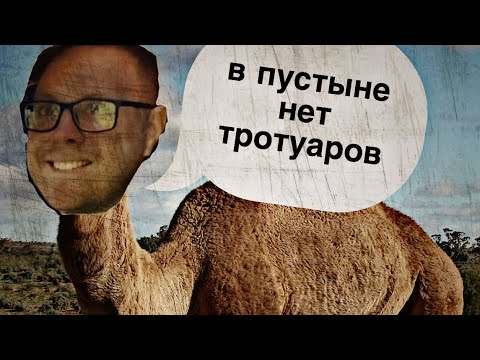 Видео: Откуда верблюды в Москве ? 🤷‍♂️