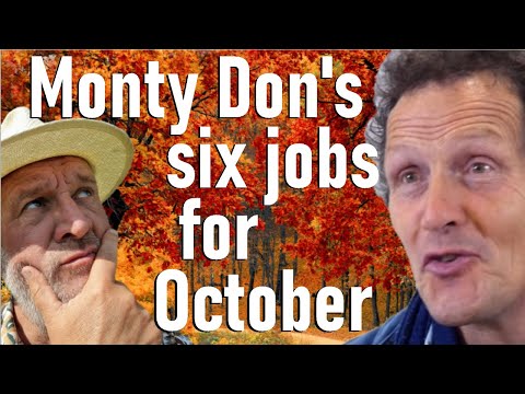 Видео: Монти Дон рассказывает о шести важных садоводческих работах в октябре