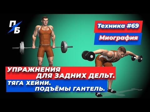 Видео: Выбираем лучшее упражнение для задних дельт. Тяга Хейни. Подъёмы гантель