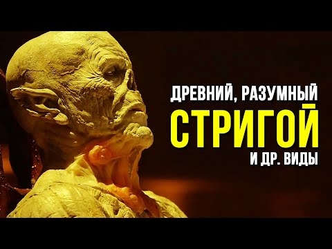 Видео: Мутации Стригоев: Древние, Разумные, Ищейки и др. ШТАММ