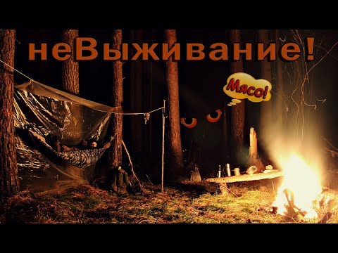 Видео: Душевная ночёвка в лесу! Жарю мясо. Ночь в гамаке. Bushcraft