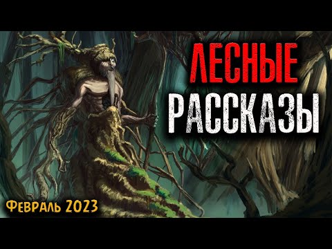Видео: ЛЕСНЫЕ РАССКАЗЫ | Страшные истории