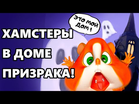 Видео: ХОМКИ ШОУ. ДОМ С ПРИВИДЕНИЯМИ
