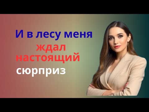 Видео: «Идеи зятя в тихой деревне»