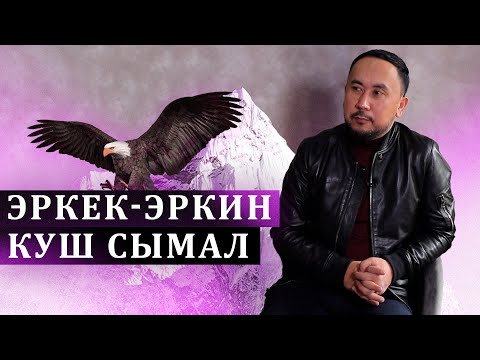 Видео: Урмат Усенов: "Ашыкча мамиле адашууга алып келет"