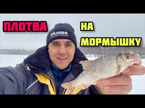 Видео: Ловля плотвы зимой на мормышку на течении со льда. Рыбалка вместо Нового года и Золотая рыбка