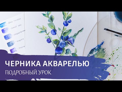 Видео: Акварель для начинающих. Подробный урок по ботанической иллюстрации. Черника акварелью.