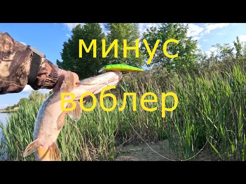 Видео: ЩУКА на ВОБЛЕР. Минус Воблер (Orbit 110SP BEARKING).