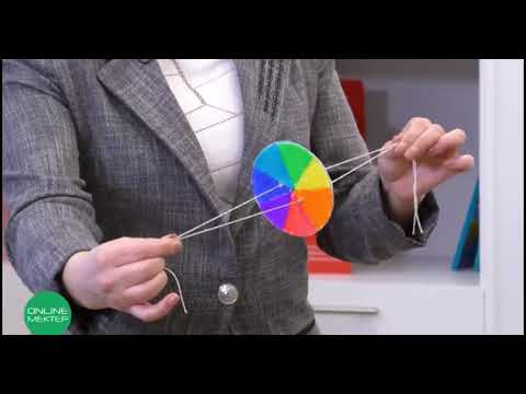 Видео: Жарықтың жұтылуы деген не?