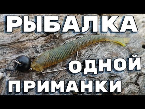 Видео: ЭТА ПРИМАНКА СДЕЛАЛА РЫБАЛКУ. Ловля на реке Северский Донец