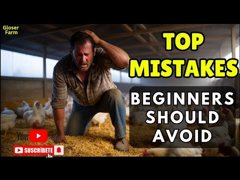 Видео: Главные ошибки, из-за которых птицеводы разоряются! Избегайте этих неудач.