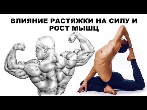 Видео: ВЛИЯНИЕ РАСТЯЖКИ НА СИЛУ И РОСТ МЫШЦ