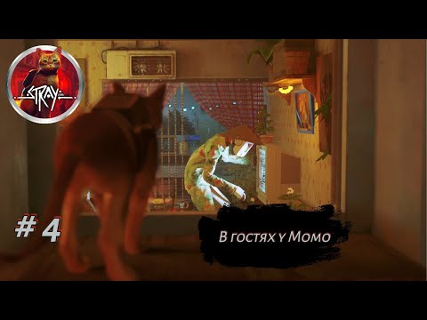 Видео: В ГОСТЯХ У МОМО ➤ Stray #4