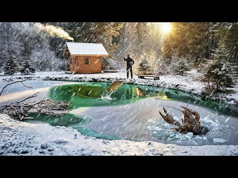 Видео: ВОТ ЧТО СЛУЧИЛОСЬ С ПРУДОМ В ЛЕСУ ЗА ШЕСТЬ МЕСЯЦЕВ! СВОЙ ВОДОЕМ С РАКАМИ и РЫБОЙ | ТАЕЖНЫЙ ДВОР