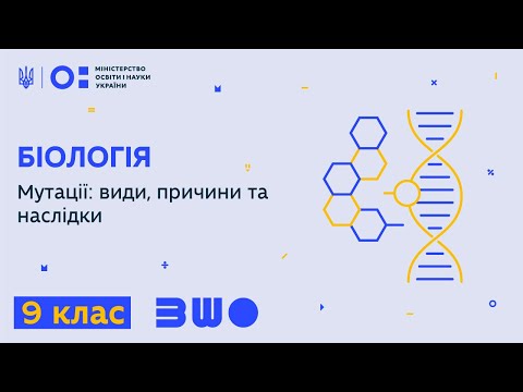 Видео: 9 клас. Біологія. Мутації: види, причини та наслідки