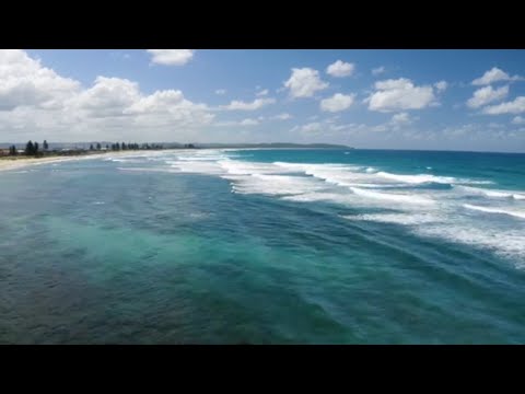 Видео: Голоса живой природы. Шум моря. Крики чаек. Морской прибой. Бушующие волны