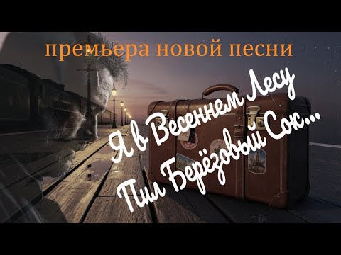 Видео: Песня – «Я в Весеннем Лесу Пил Берёзовый Сок» | DJ Malinova | Премьера 2025