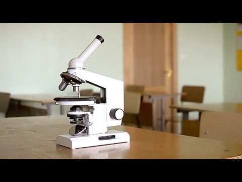 Видео: Как работать с микроскопом