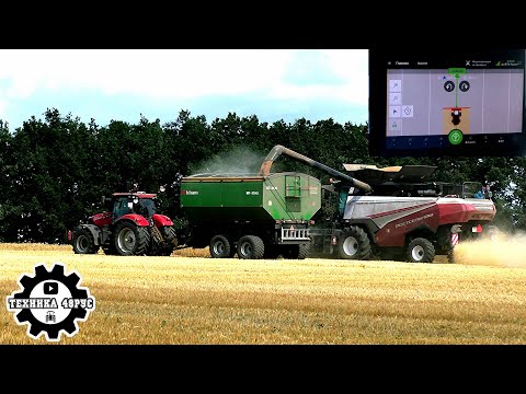 Видео: Комбайны Торум 785, перегружатели Лилиани - первое знакомство с Черкизово. Уборочная - 2024