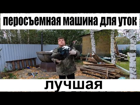 Видео: перосъемная машина для уток лучшая