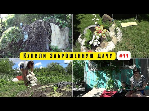 Видео: Одна на даче с ребенком. Расчистила ВЕСЬ УЧАСТОК!