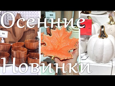 Видео: 🍁Так Много Красивой Посуды ОБЗОР в MODI 2025 ОСЕНЬ АКЦИИ🍁