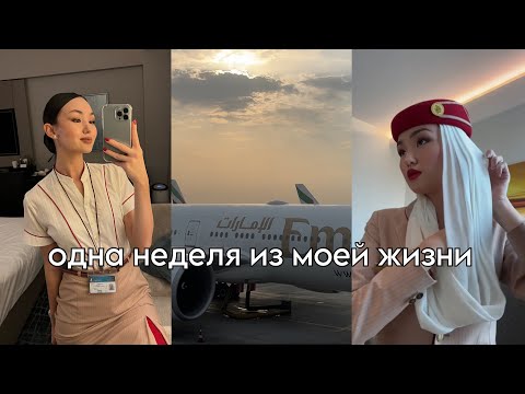 Видео: одна неделя из моей жизни: реальный график стюардесс, где спит экипаж в самолете, будни в Дубае