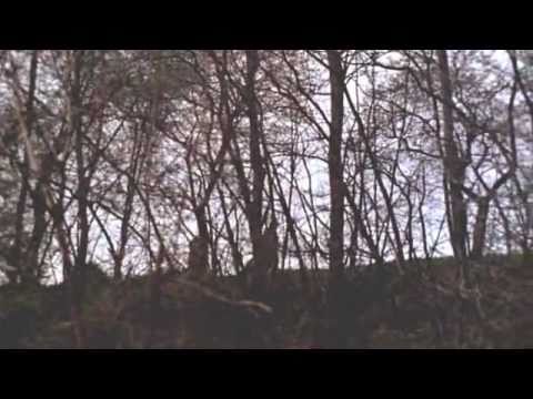 Видео: А. Шнитке - Сказка странствий