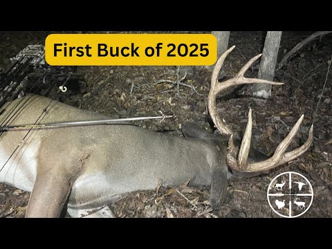 Видео: Первый доллар вниз 2025